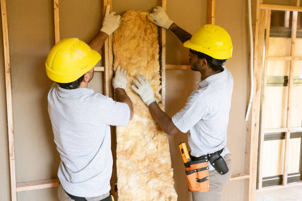 Types of Insulation We Offer in Burton, SC